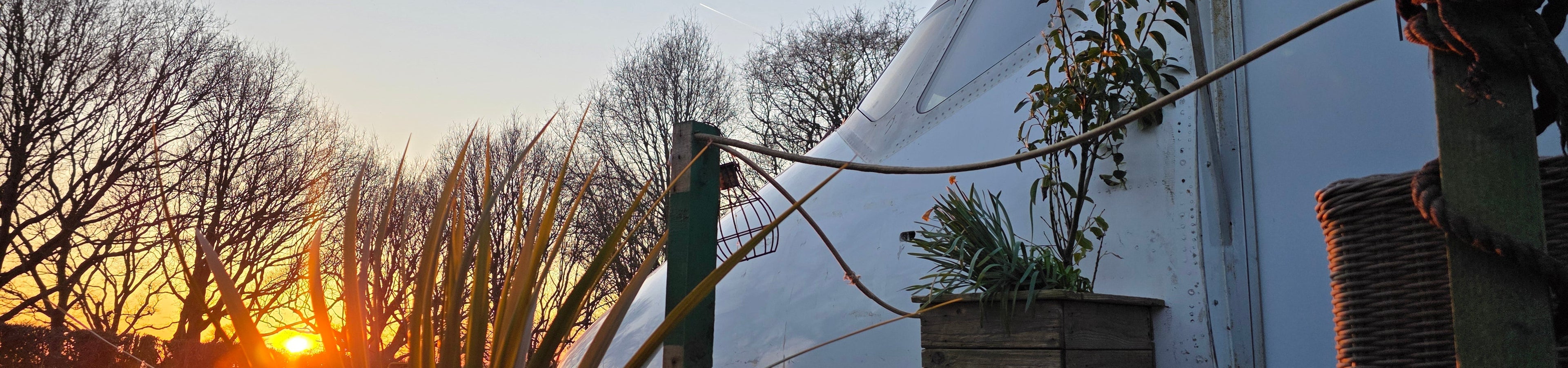 Sunset over a white tent with potted plants on a wooden platform boeing 717 aircraft used as a glamping pod off grid living